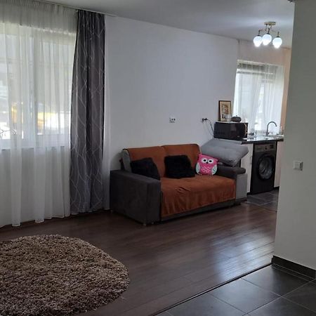شقة Cozy Nest Sinnicoara المظهر الخارجي الصورة